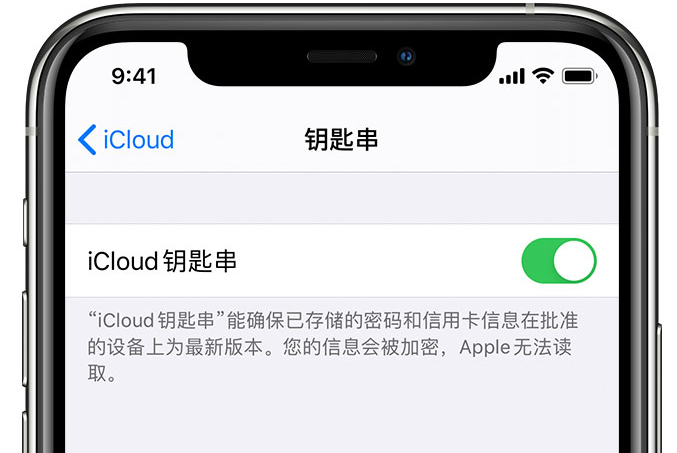 通州苹果手机维修分享在 iPhone 上开启 iCloud 钥匙串之后会储存哪些信息 