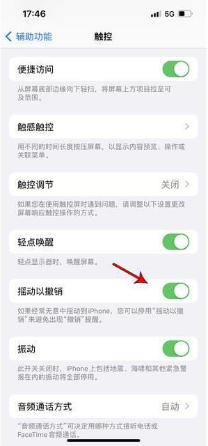 通州苹果手机维修分享iPhone手机如何设置摇一摇删除文字 